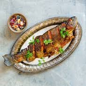 Grill Trout Fish